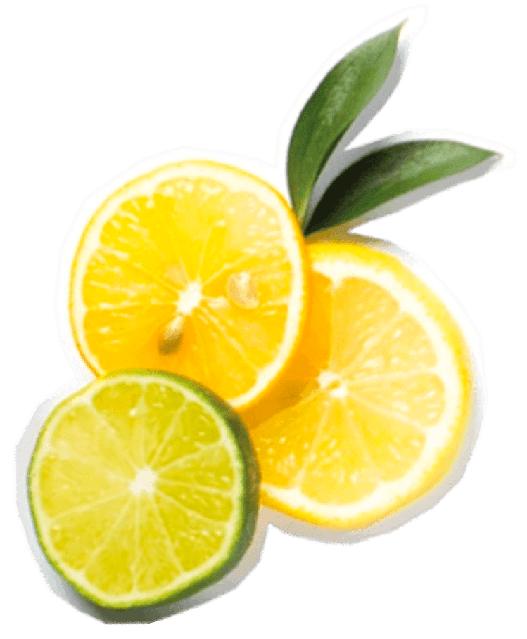 Vibrant slices of lemons and a lime, accompanied by lush green leaves, rest elegantly on a pristine white background.