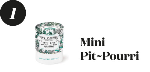 Mini Pit~Pourri