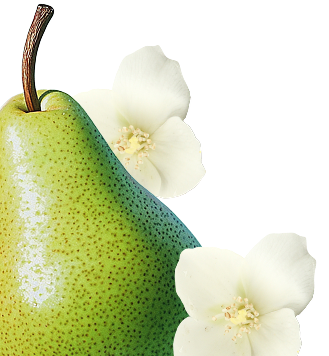 Green pear with white flowers