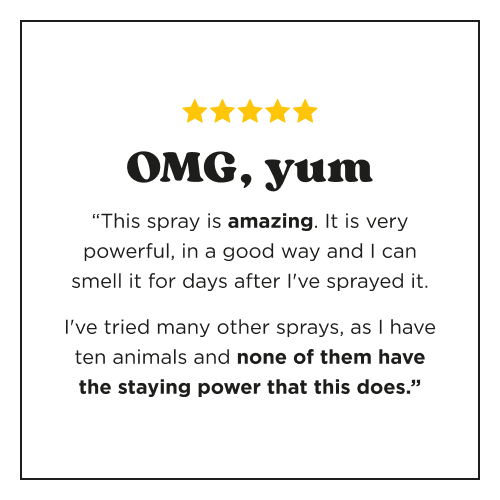 Customer review with a five-star rating: OMG, yum. This spray is amazing. It is very powerful, in a good way and I can smell it for days after I've sprayed it. I've tried many other sprays. as I have ten animals and none of them have the staying power that this does.