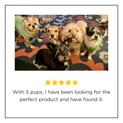 Five small dogs sitting on a patterned rug, looking at the camera, with a five-star customer review. With 5 pups, I have been looking for the perfect product and have found it.