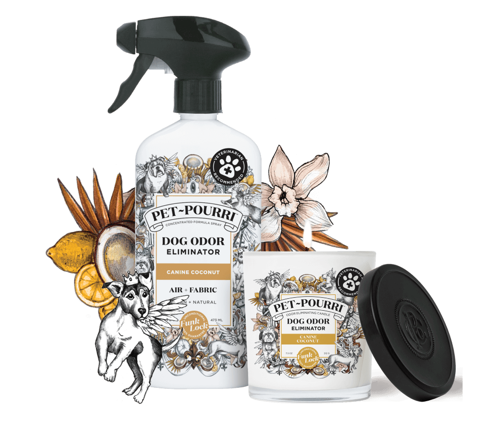 Pet-Pourri Dog Odor Freshener set in Canine Coconut scent, featuring a concentrated formula spray bottle and an odor-freshening candle. The packaging is adorned with intricate illustrations of dogs, botanical elements, and gold detailing. The spray is designed for air and fabric use, while the candle provides long-lasting freshness.