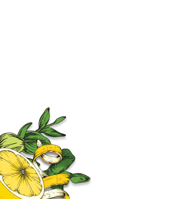 Illustration of sliced lemon, lemon peel, and green leaves