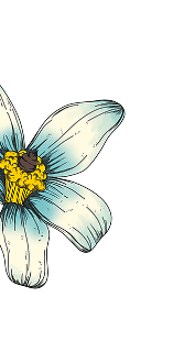 Illustration of a blue flower