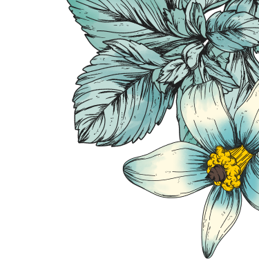Illustration of a blue leafs and flower