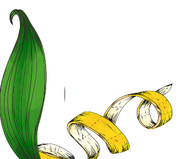 Scent image