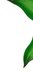 Scent image