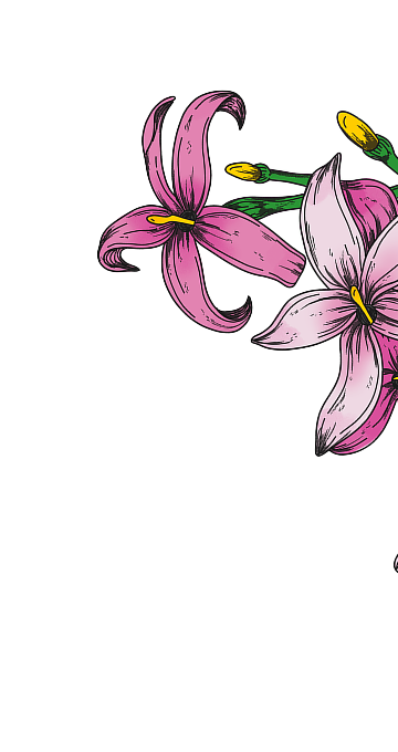 Orchid flowers
