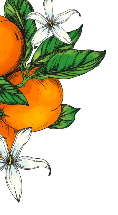 Illustration of oranges and blue flowers with leaves.