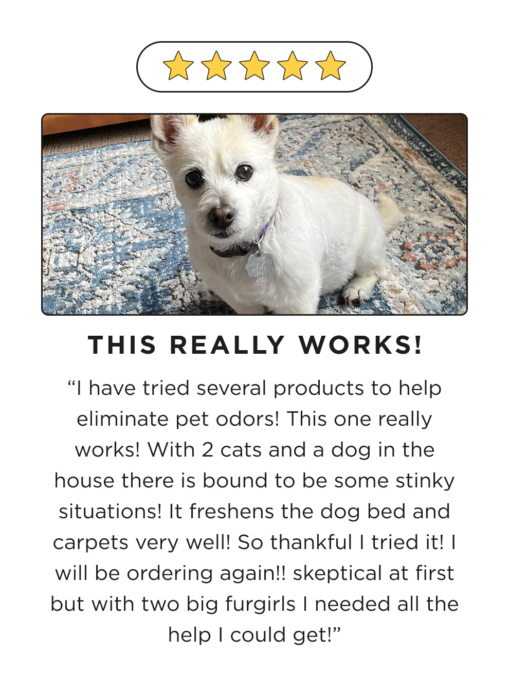 5 star review with a picture of a white dog on a patterned rug. stating, this really works! and a comment saying, I have tried several products to help eliminate pet odors! This one really works! With 2 cats and a dog in the house there is bound to be some stinky situations It freshens the dog bed and carpets very well! So thankful I tried it! I will be ordering again!! skeptical at first but with two big furgirls i needed all the help I could get!