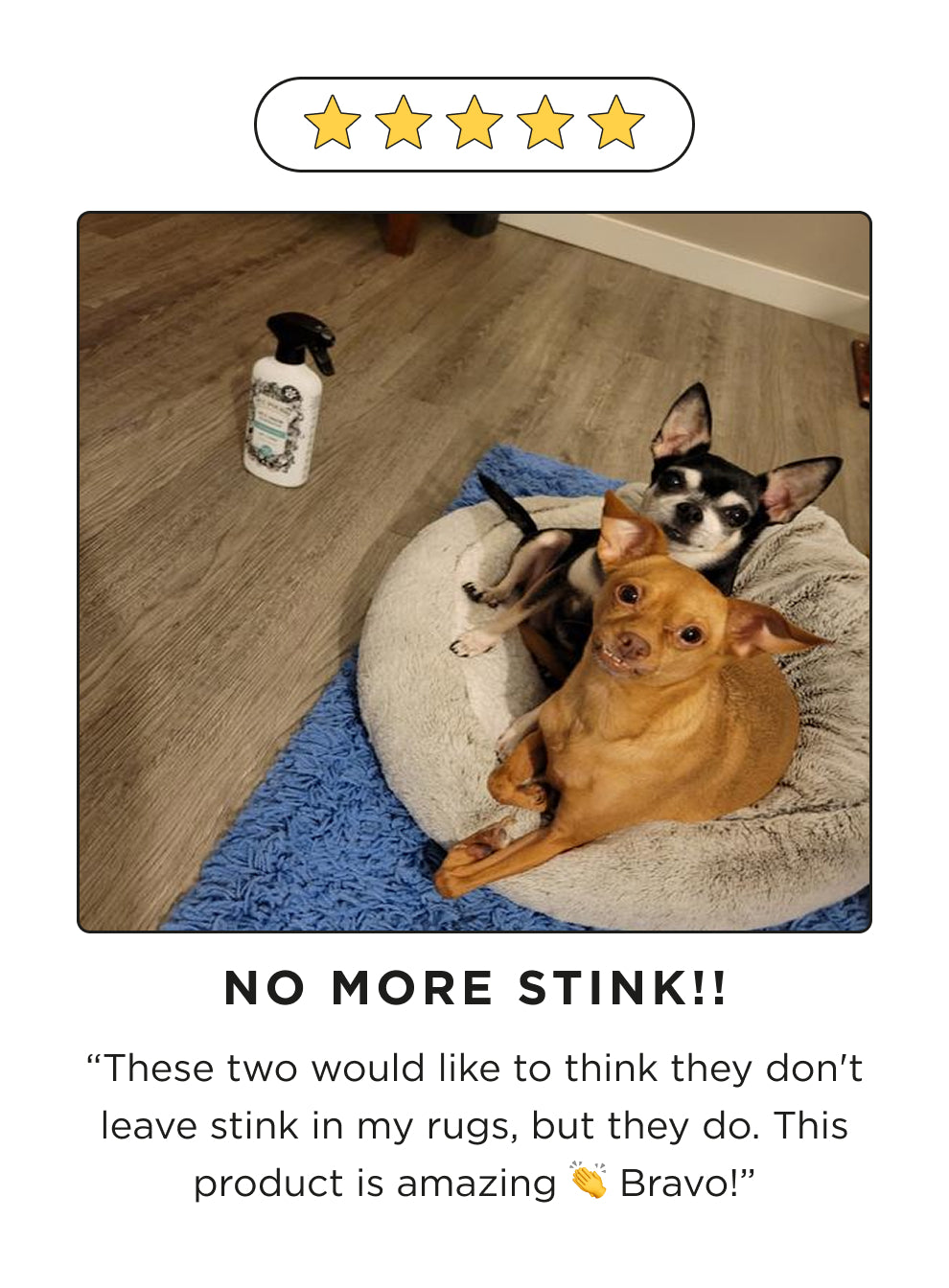 Two small dogs on a rug with a bottle of Pet~Pourri Pawsitiverky Fresh surrounded by five-star rating and text 'NO MORE STINK!!'