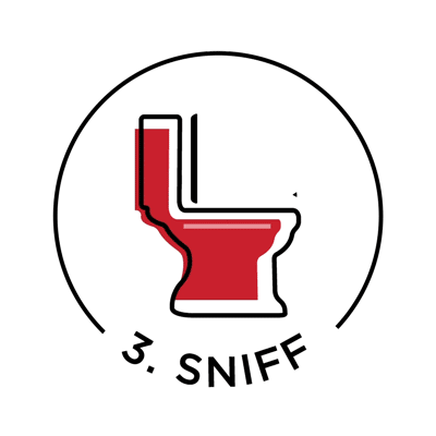 3. Sniff