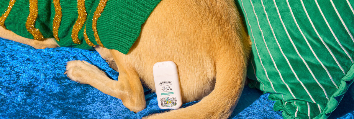 Sleigh Funky Pet Odors This Holiday Season with Pet~Pourri