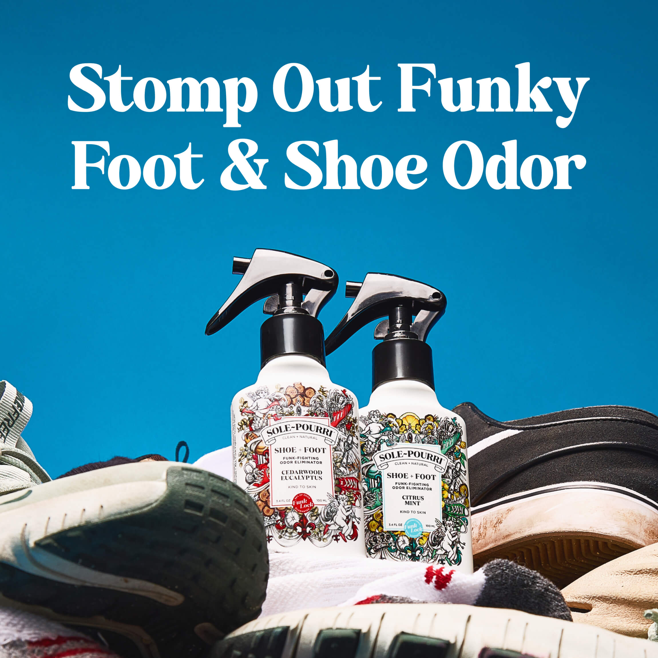Citrus Mint ~Pourri Shoe Deodorizer: Fresh Feet Guaranteed