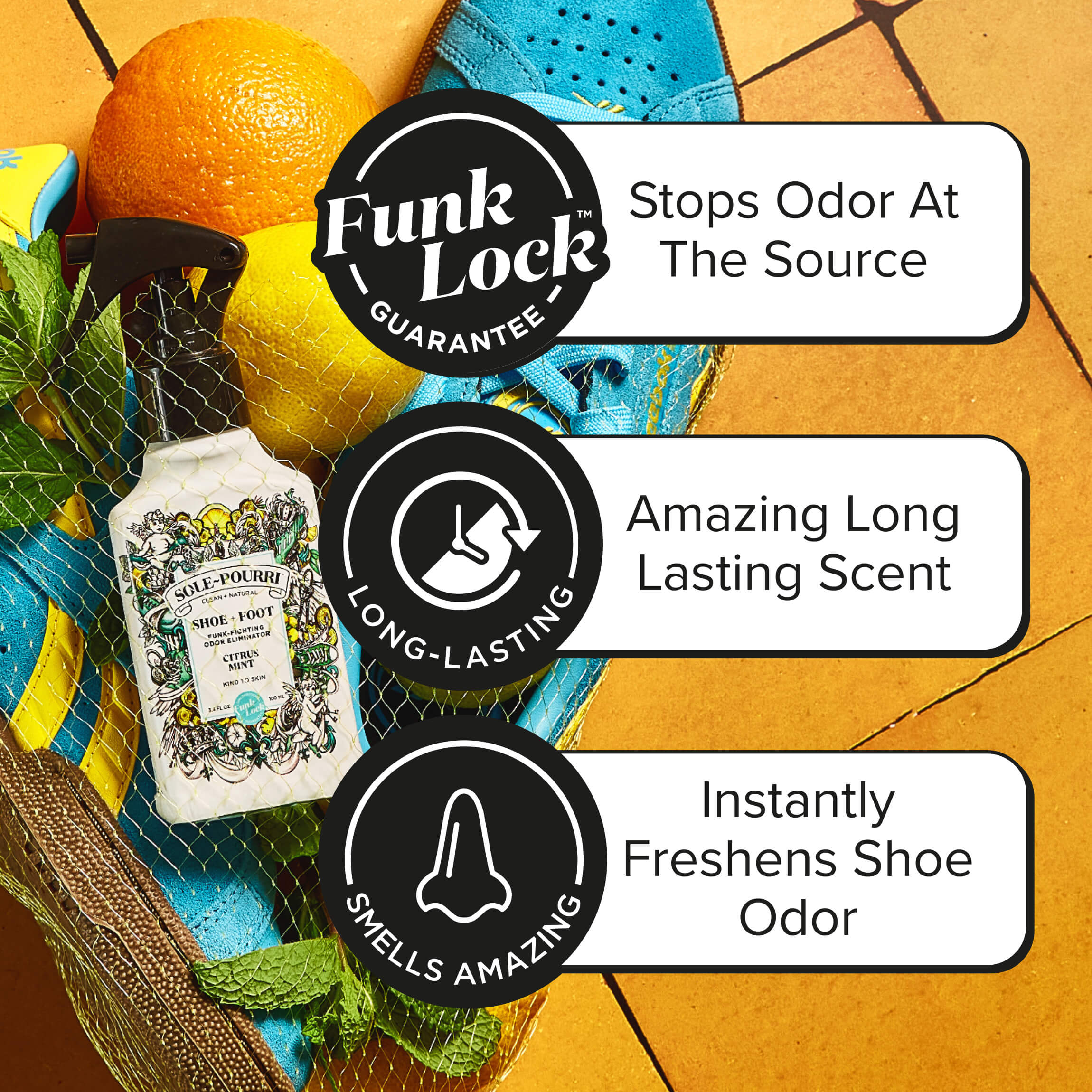 Citrus Mint ~Pourri Shoe Deodorizer: Fresh Feet Guaranteed