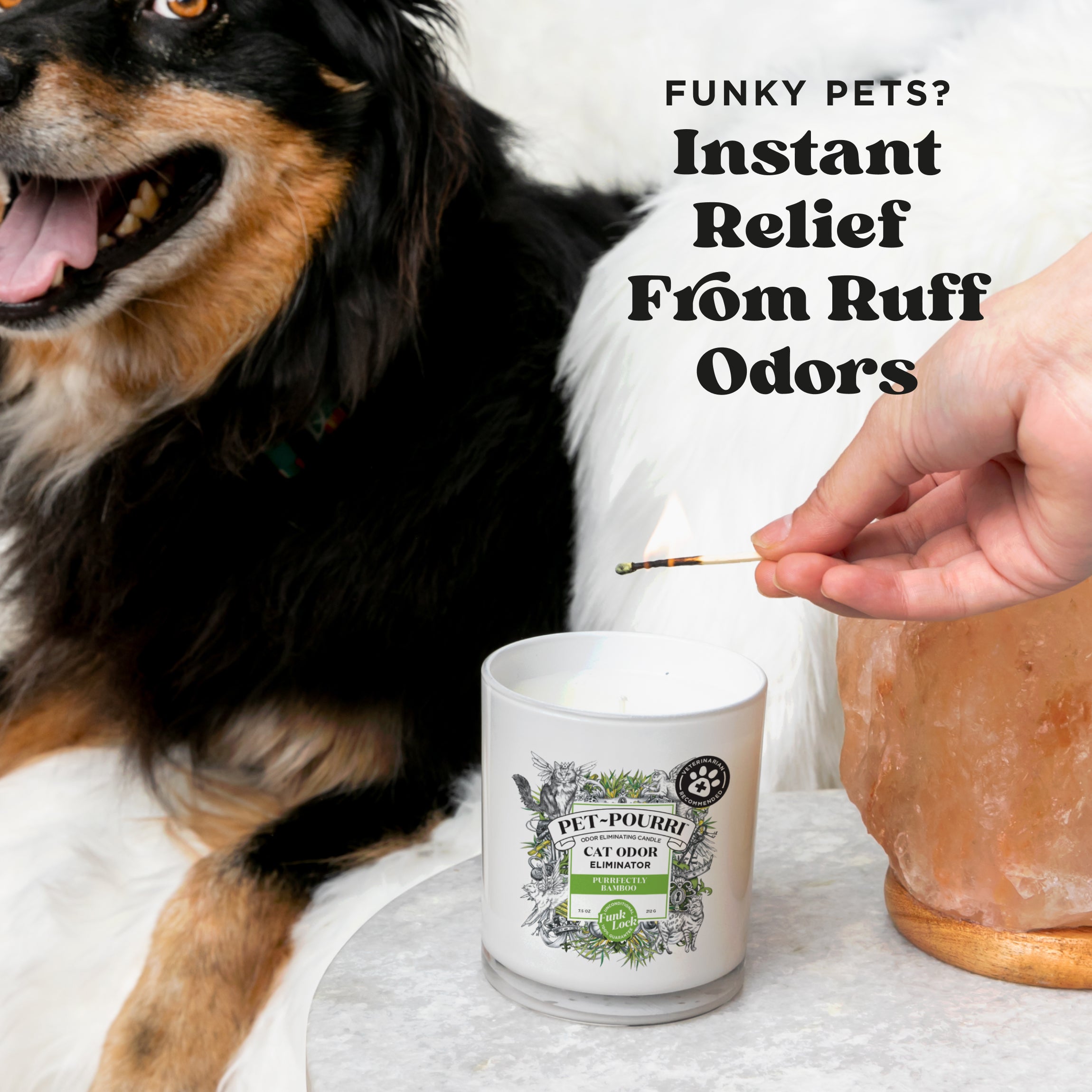 Funky pets? Instant relief from ruff odors.