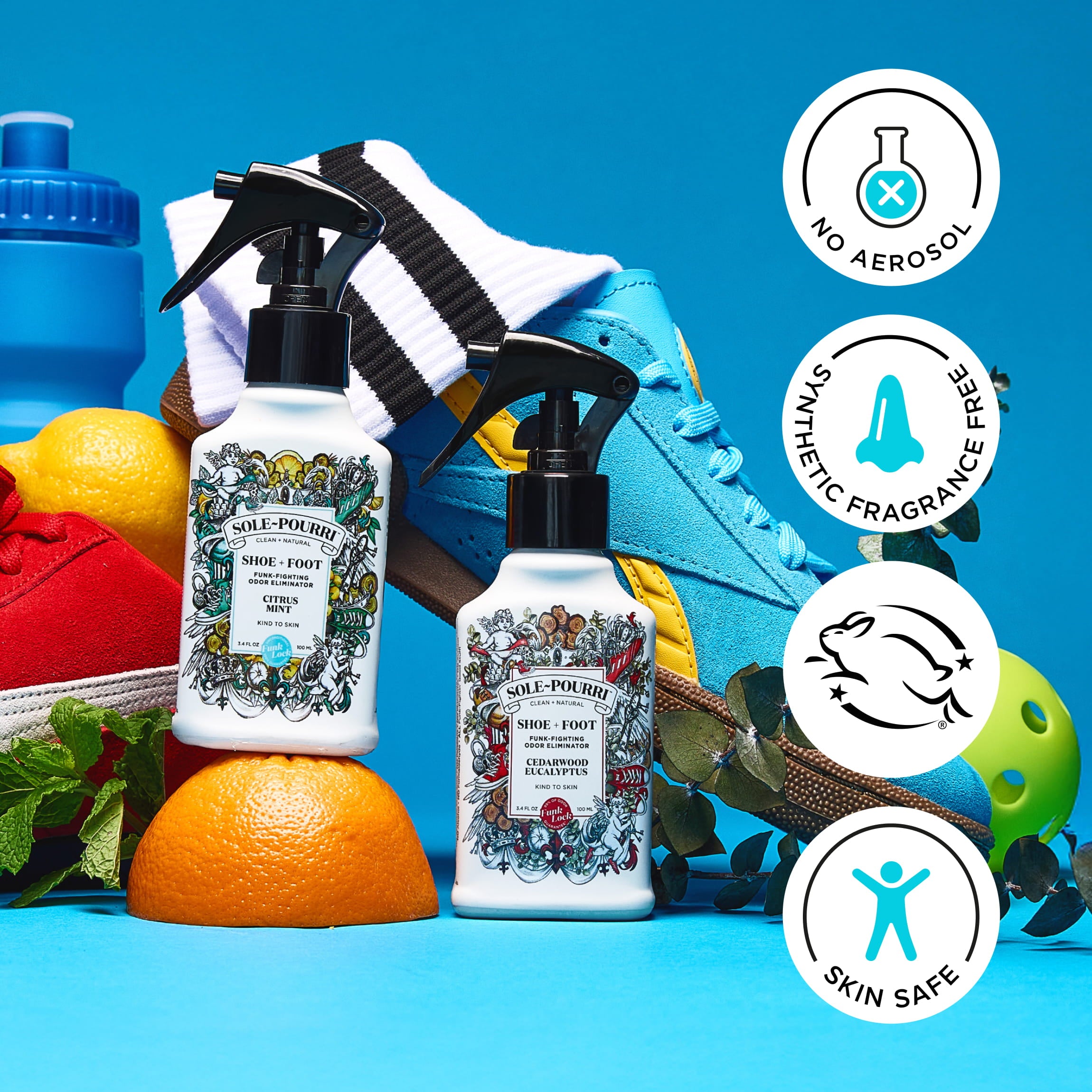Citrus Mint ~Pourri Shoe Deodorizer: Fresh Feet Guaranteed