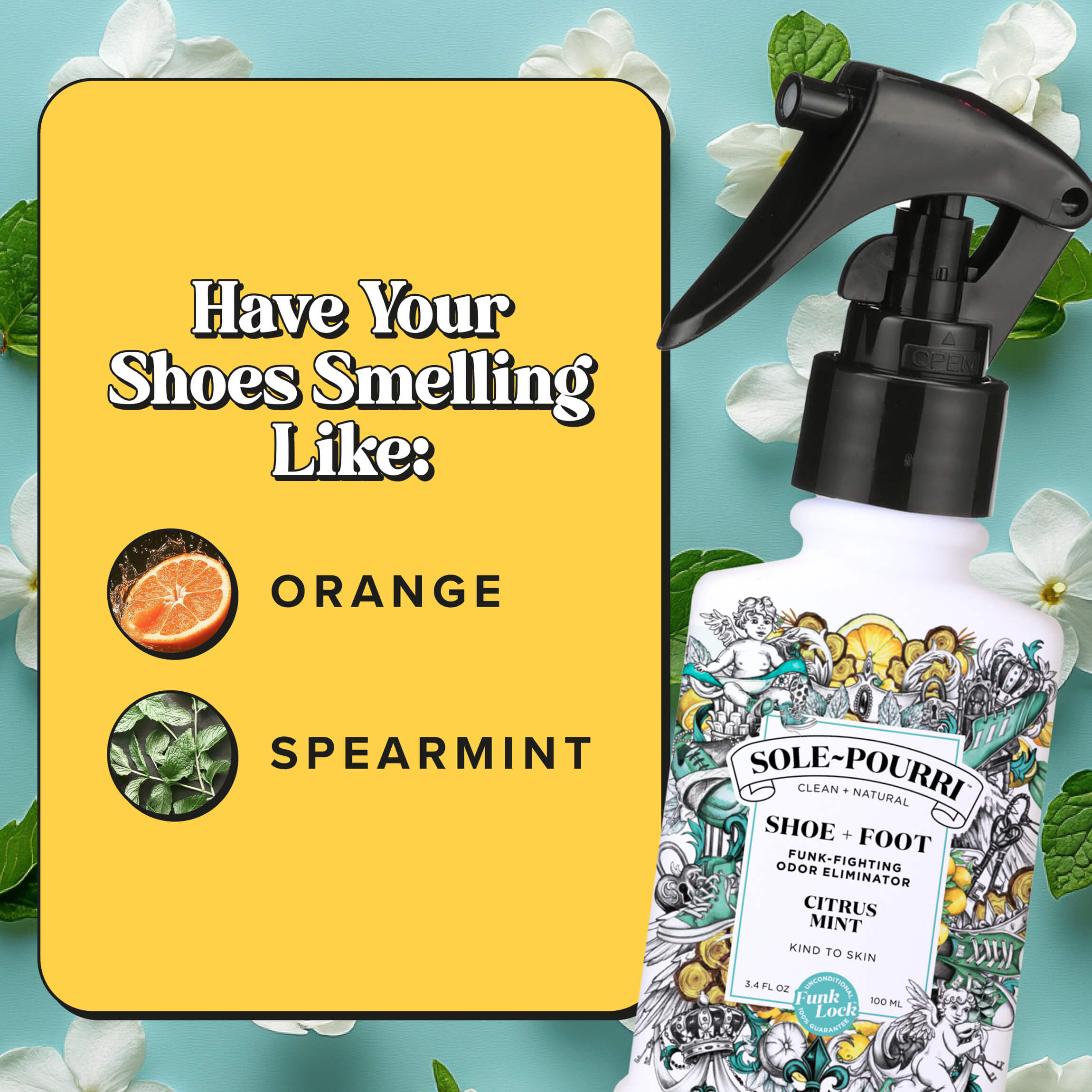 Citrus Mint ~Pourri Shoe Deodorizer: Fresh Feet Guaranteed