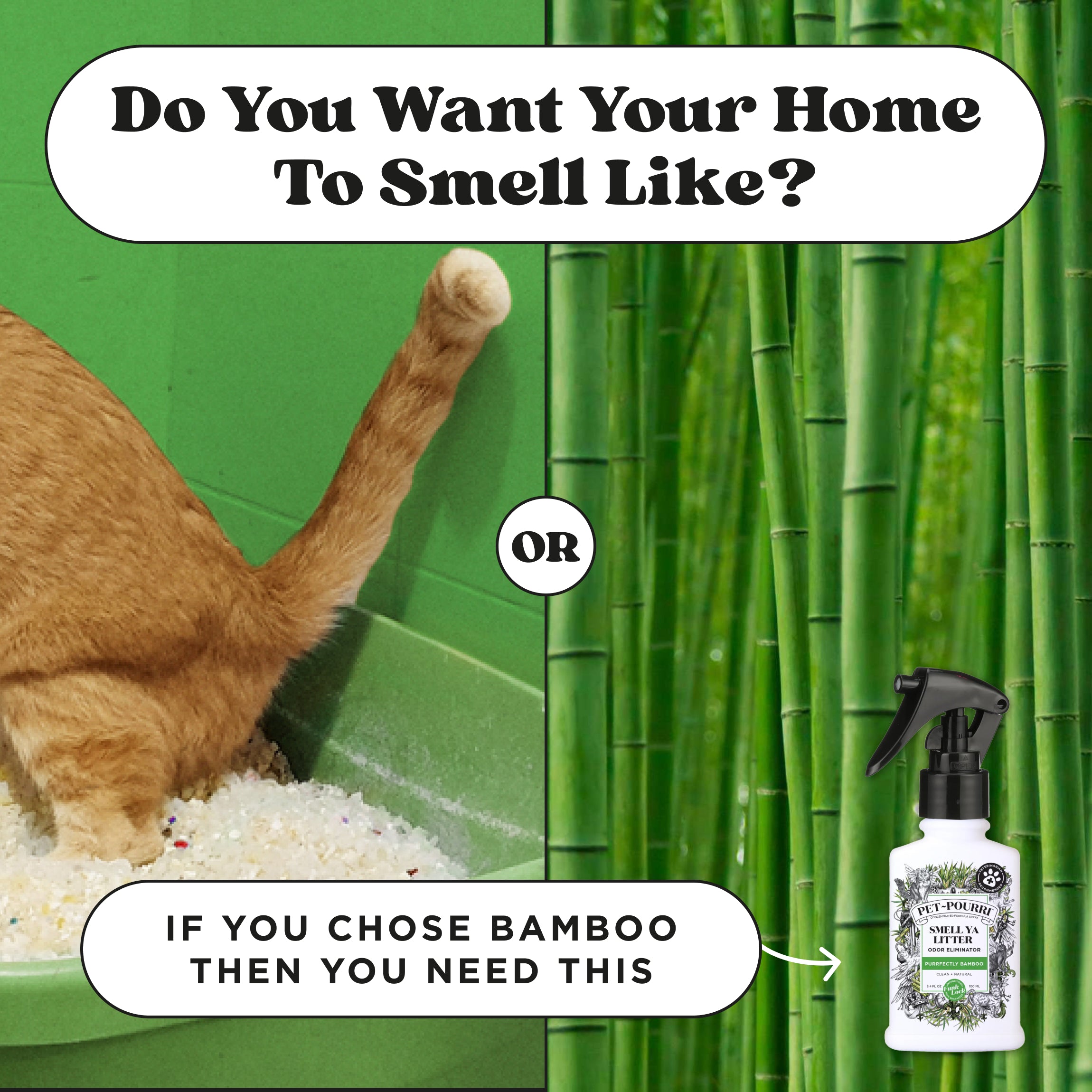 Do you want your home to smell like cat litter or bamboo? If you chose bamboo then you need this Pet~Pourri smell ya litter odor eliminator.