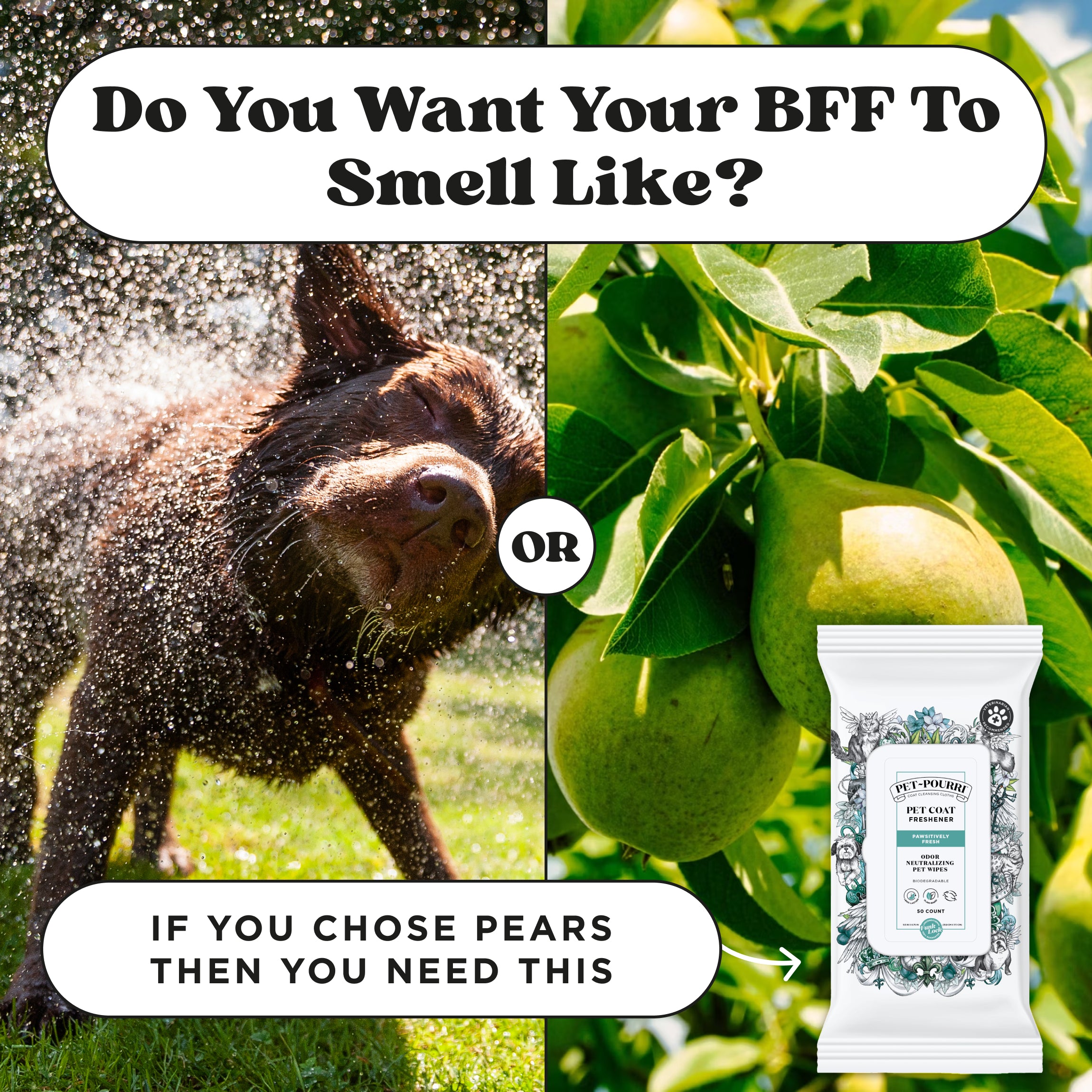 Do you want your home to smell like wet dog or pears? If you chose pears then you need this Pet~Pourri pawsitively fresh odor freshener pet wipes.