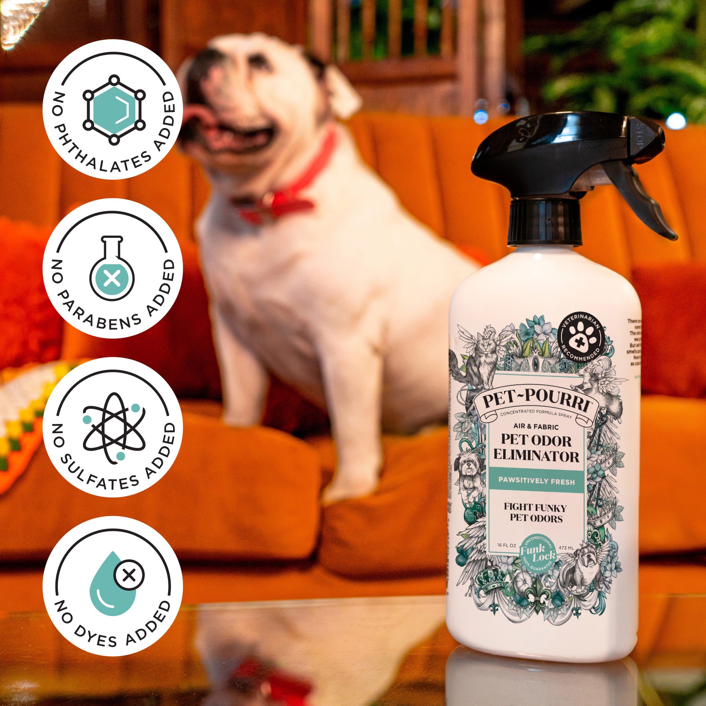 House Smells Like Urine No Pets: Surprising Causes and Fixes
