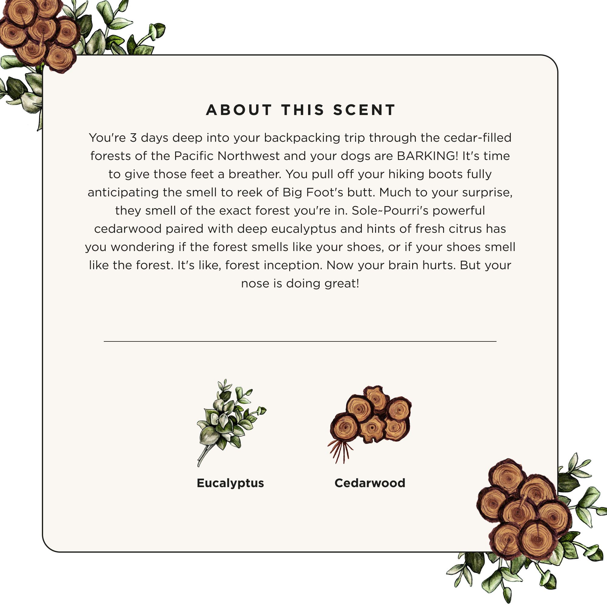 Discover the Cedarwood Eucalyptus - Sole~Pourri Shoe Deodorizer by ~Pourri, combining eucalyptus leaves and cedarwood for a fresh forest scent. This aromatic delight captures natures tranquility with delicate designs reminiscent of essential oils.