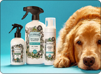 Gifts For Pets Parents