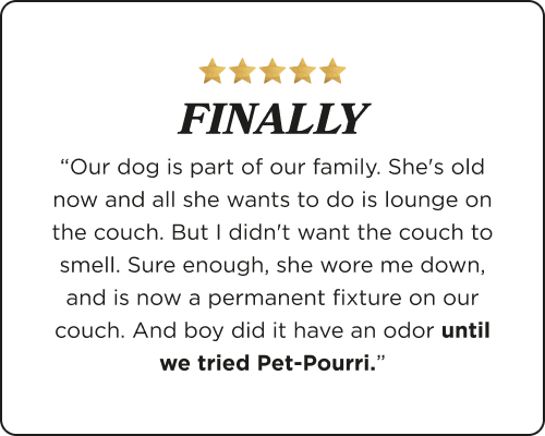 Product review for Pet~Pourri with five gold stars and a customer testimonial that says. 