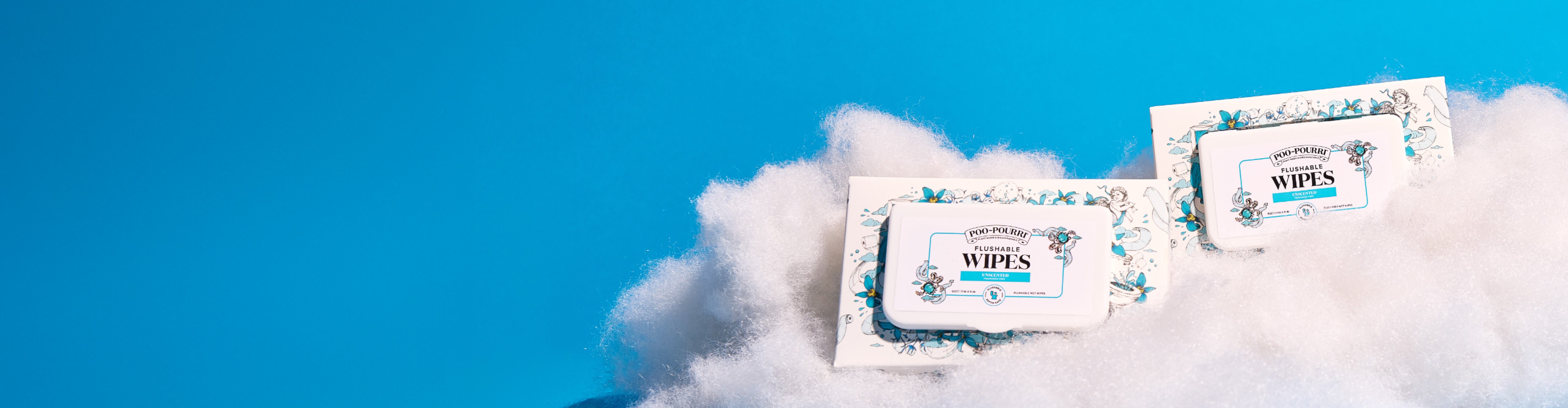 Two packages of Poo~Pourri unscented flushable wipes on a fluffy white cloud against a blue sky background