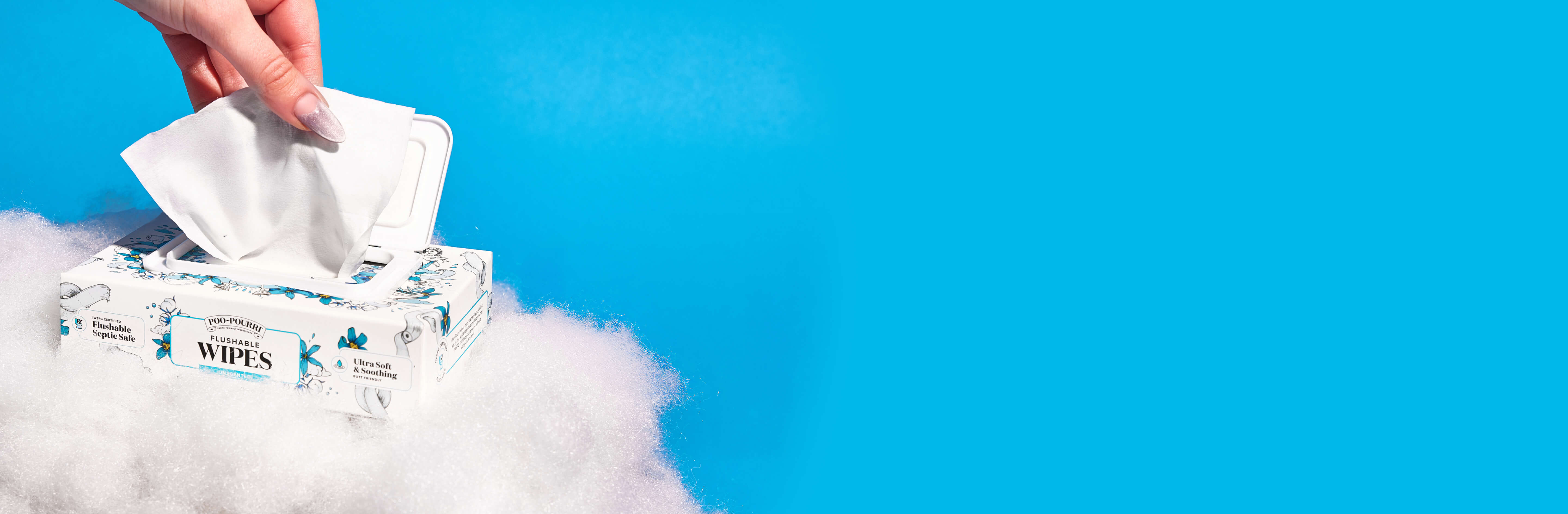 Poo~Pourri flushable wipes box, sitting on a cloud against a blue background