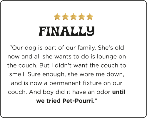 Product review for Pet~Pourri with five gold stars and a customer testimonial that says. 