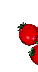 Illustration of cranberries