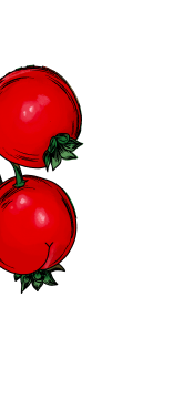 Illustration of cranberries