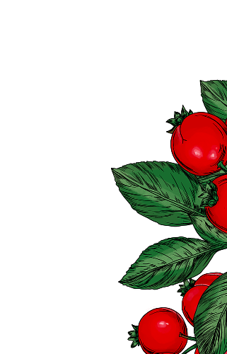 Illustration of cranberries with green leaves