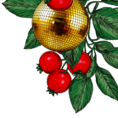 Illustration of cranberries, a gold disco ball with green leaves on a white background