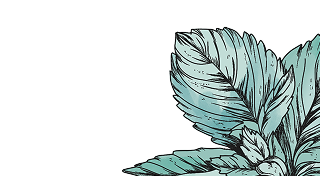 Illustration of a blue leaf