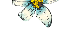 Illustration of a blue flower