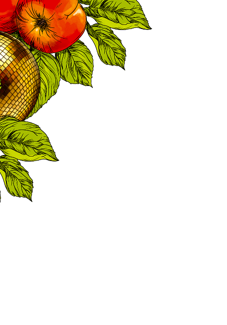 Illustration of apples and leaves