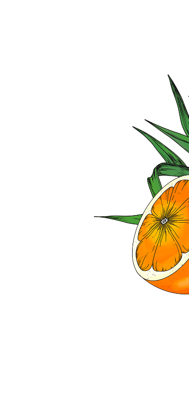 Illustration of a sliced orange with green leaves