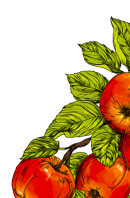 Illustration of apples and leaves