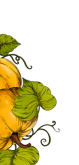 Illustration of pumpkins with green leaves