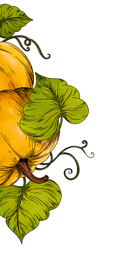 Illustration of pumpkins with green leaves