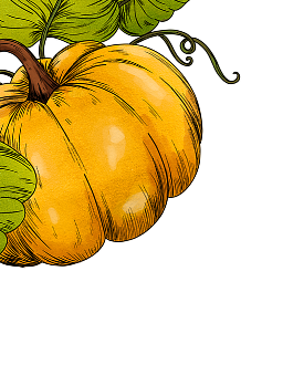 Illustration of pumpkins with green leaves