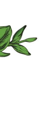 Scent image