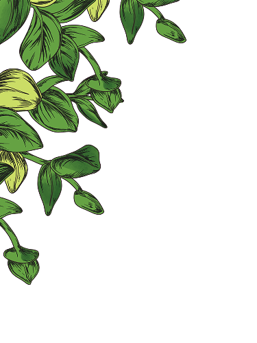 Scent image
