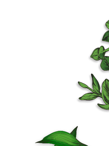 Scent image