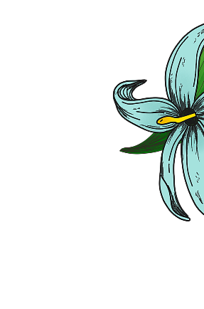Scent image
