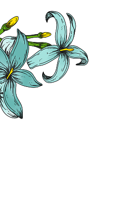 Scent image