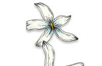 Scent image