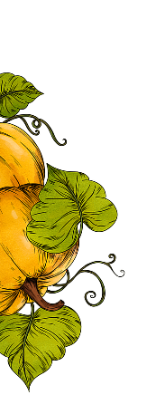 Illustration of pumpkins with green leaves